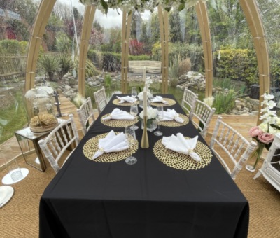 Dome for Hire Provided by Glitz and Glamour